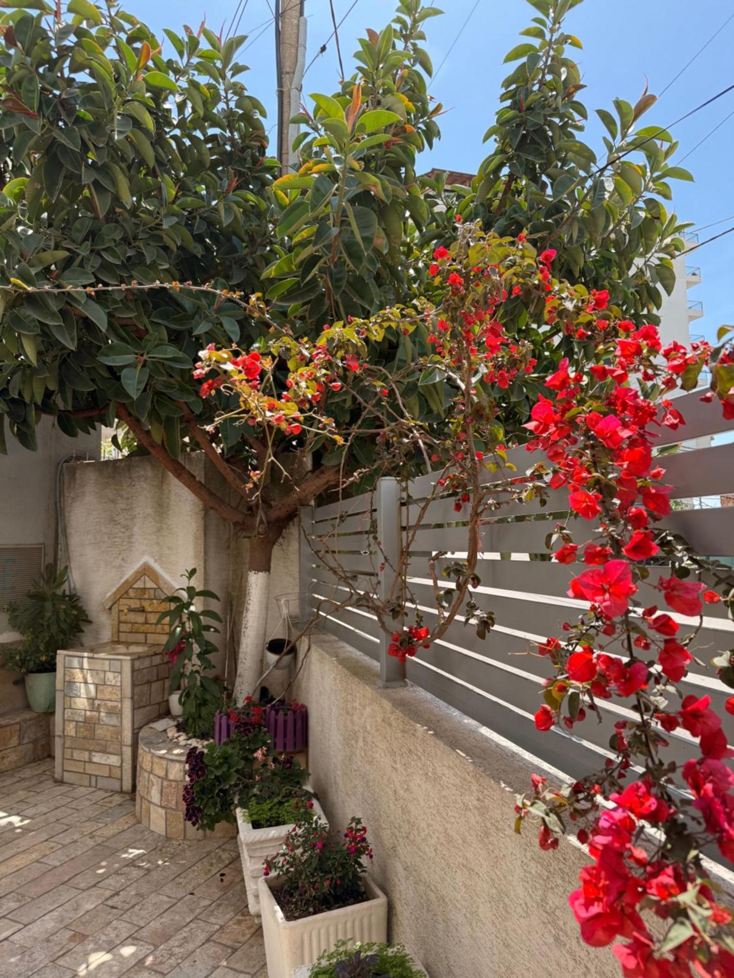 Apartments & Studios Ardian-Mandi Sarande-Albania Dış mekan fotoğraf